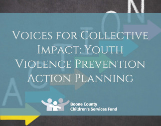 Youth Violence Prevention Action Planning